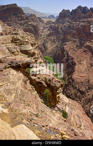 Green Siq a ad-Deir in Petra, Giordania, Medio Oriente Foto Stock