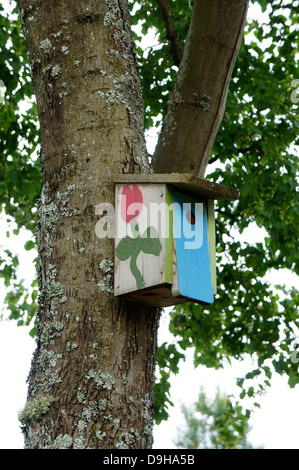 Casetta degli uccelli dipinta in casa in un albero Foto Stock