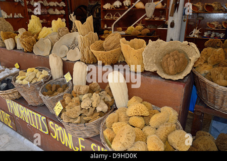 Spugna naturale shop sul lungomare, Symi (SIMI), Rodi (Rodi) Regione, del Dodecaneso, Egeo Meridionale Regione, Grecia Foto Stock