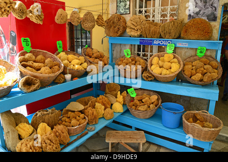 Spugna naturale shop sul lungomare, Symi (SIMI), Rodi (Rodi) Regione, del Dodecaneso, Egeo Meridionale Regione, Grecia Foto Stock