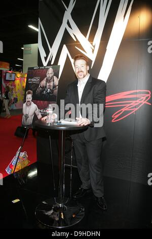 Las Vegas, Nv, STATI UNITI D'AMERICA. 19 giugno 2013. Sheamus all'interno per il rilascio di licenze per l'Expo 2013 - MER, del Mandalay Bay Events Centre di Las Vegas, Nv, Stati Uniti d'America il 19 giugno 2013. Credito: James Atoa/Everett raccolta/Alamy Live News Foto Stock