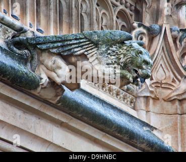 TOLEDO - Marzo 8: Dettaglio di animali come spoutler gotica in pioggia da atrium del Monasterio de San Juan de los Reyes Foto Stock