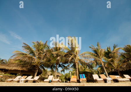 Le palme sulla spiaggia Foto Stock