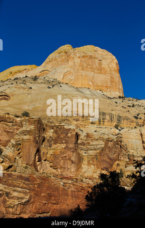 Il Golden Throne roccia arenaria formazione visto dal Capitol Gorge, Capitol Reef National Park nello Utah, Stati Uniti d'America Foto Stock