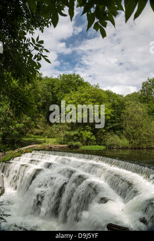 Monsal dale Weir e il fiume Wye fluente attraverso il Derbyshire campagna nell Inghilterra del Nord Foto Stock