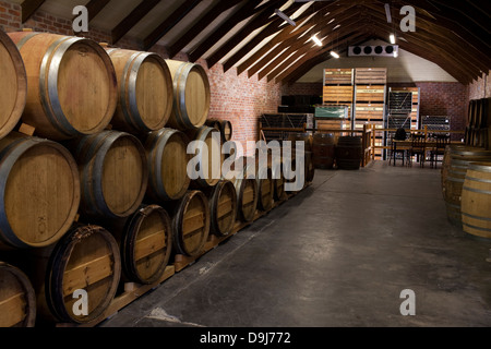 Mullineaux cantina 225 litri di vino rosso memorizzati in botti di rovere francese Swartland percorso vinicolo Riebeek Kasteel Western Cape Sud Foto Stock