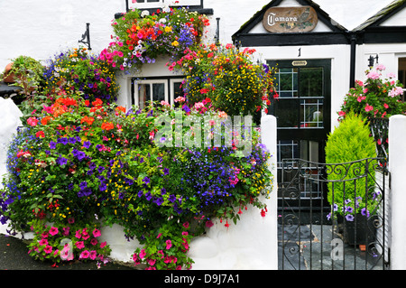 Un bel bianco-lavato cottage adornati con fiori estivi, Cornwall, Regno Unito Foto Stock