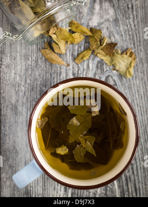 Foglia di coca di tè, una bevanda popolare in alcuni paesi dell' America del Sud. Foto Stock