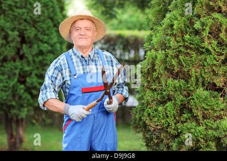 Lavoratore manuale trimming di un recinto in un giardino Foto Stock