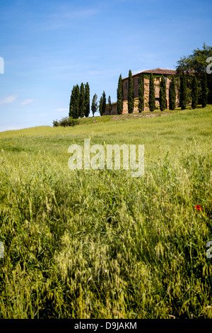 Agriturismo in Toscana, Italia, Europa Foto Stock