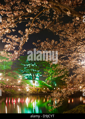 Takada Castello con fiori di ciliegio in illuminazione notturna, Niigata, Giappone Foto Stock