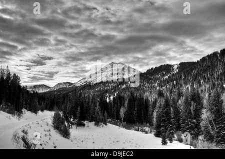 Lungo il sentiero per le motoslitte in Grays River, Wyoming, un affluente del fiume Snake. Foto Stock