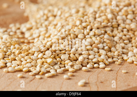 Materie organiche semi di Quinoa contro uno sfondo Foto Stock