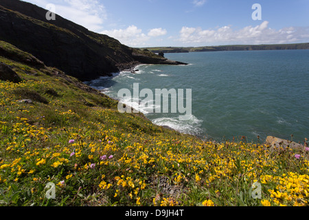 Vista da Pembrokeshire via costiera verso Broadhaven, Galles. Foto Stock