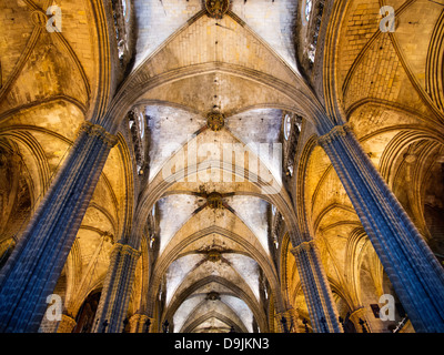 Interno della Santa Eulalia cattedrale nel quartiere Gotico di Barcellona, Spagna 1 Foto Stock