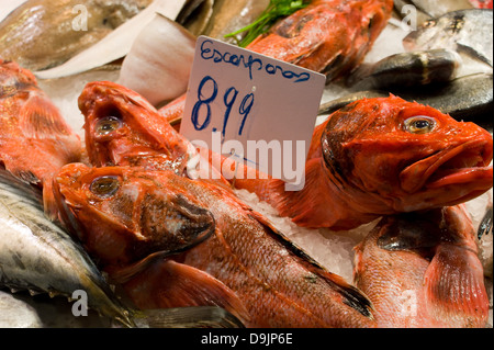 Pesce fresco sul ghiaccio su un mercato in stallo a Barcellona Foto Stock