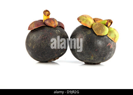 Il Mangosteen frutta è il sapore dolce e frutta domestici in Thailandia. Foto Stock