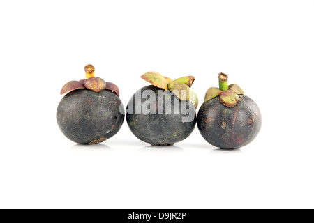 Il Mangosteen frutta è il sapore dolce e frutta domestici in Thailandia. Foto Stock