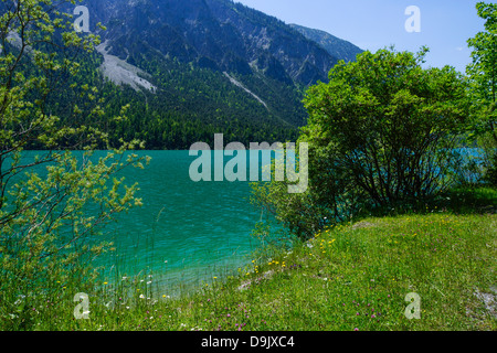 Lago Plansee, Alpi Ammergau, Ammer Montagne Foto Stock
