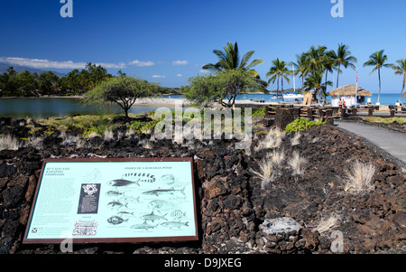 Segno interpretativa descrive pesci ritrovati nella storica stagno di pesci da Anaehoomalu Bay; passerella conduce alla spiaggia e Ocean Sport Foto Stock