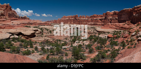 Quartiere degli aghi Foto Stock