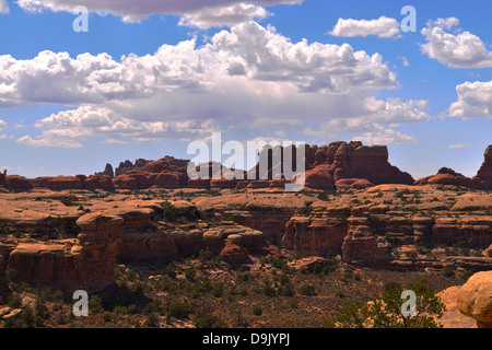 Quartiere degli aghi Foto Stock