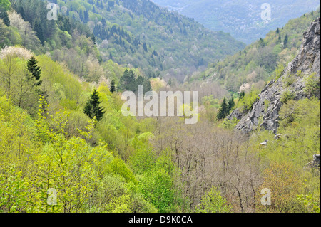 Paesaggio di Mavrovo National Park, Macedonia Foto Stock