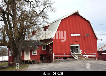 Animale granaio nell isola Suvie Oregon. Foto Stock