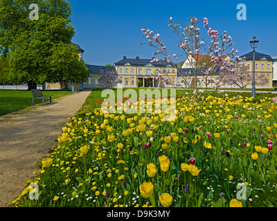 Aranciera con tulipani a Gera, in Turingia, Germania Foto Stock