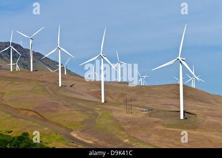 Le turbine eoliche la creazione di energia sul pendio di una collina in Eastern Washington. Foto Stock