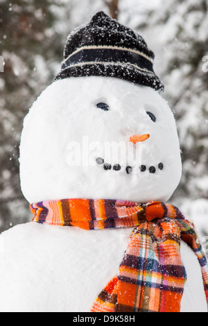 Allegro pupazzo di neve bianca con un foulard arancione e un cappello Foto Stock