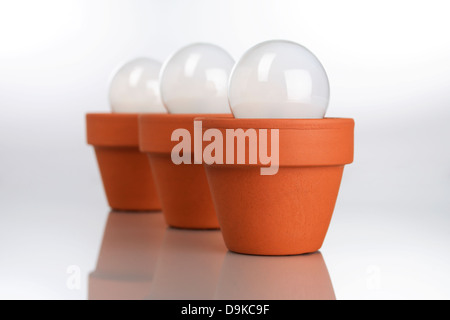 Le lampadine della luce in vasi da fiori, bulbi in vaso di fiori Foto Stock