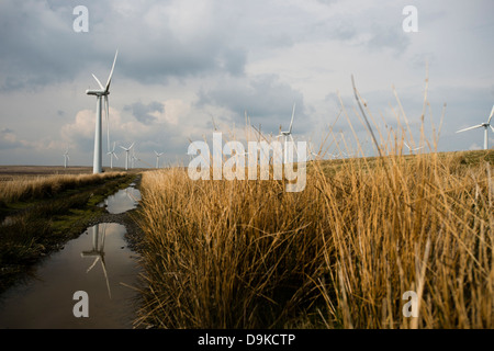 Carno wind farm, Powys, Mid Wales, Regno Unito Foto Stock