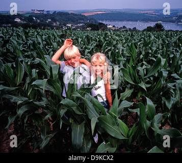 Un giovane fratello e sorella in posa insieme in un cornfield in estate. in una baia in Cornovaglia, Inghilterra, Regno Unito. Foto Stock