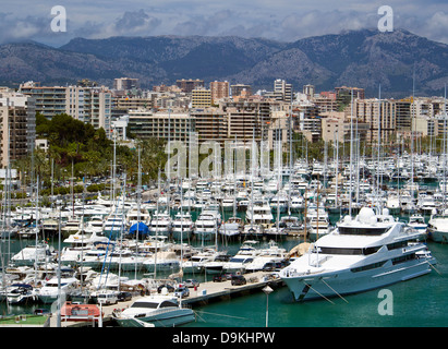 Imbarcazioni da diporto e gli yacht ormeggiati nel porto di Palma de Mallorca, Spagna Foto Stock