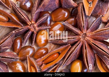 Vista macro di illicium star semi sul tavolo di legno Foto Stock