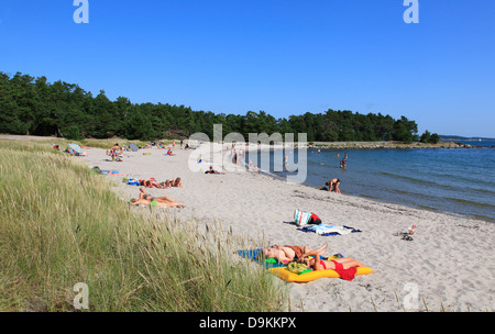 Storsand beach, Nattaroe Isola, arcipelago di Stoccolma, mar baltico, Svezia e Scandinavia Foto Stock