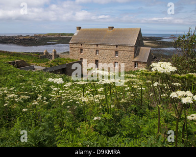 Edificio, Ile aux Moines, Les sept Iles, Brittany Foto Stock