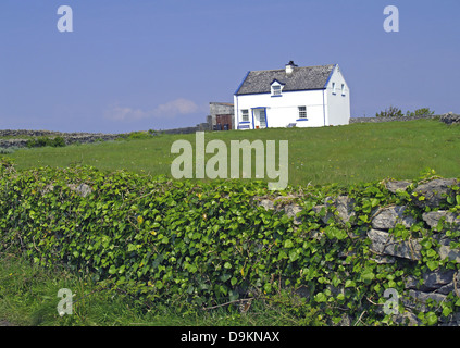 Un piccolo cottage in pietra e recinzione in Kilronan,Inishmore,Isole Aran,l'Irlanda Foto Stock