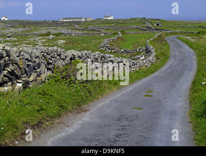 Paese di avvolgimento road in Kilronan sull isola di Inishmore,Isole Aran,l'Irlanda Foto Stock