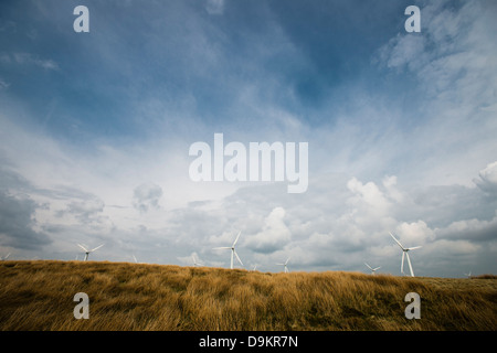 Carno wind farm, Powys, Mid Wales, Regno Unito Foto Stock