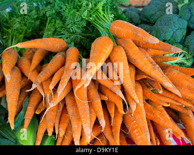 Appena raccolto le carote per la vendita in un mercato degli agricoltori in Bluffton, Carolina del Sud Foto Stock