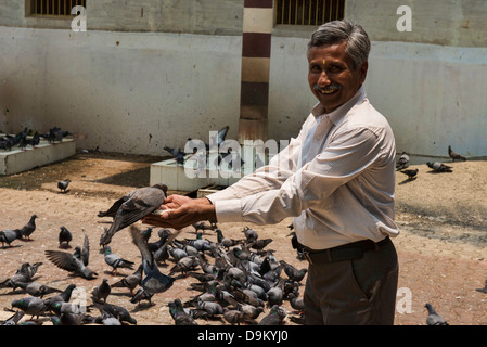 La preghiera quotidiana e rituale di alimentazione dei piccioni al Dharmanath tempio Jain di Fort Cochin (Kochi), Kerala, India Foto Stock