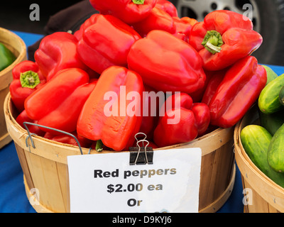 Appena raccolto peperoni rossi per la vendita in un mercato degli agricoltori in Bluffton, Carolina del Sud Foto Stock