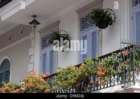 Casco Antiguo di Panama City, Panama. Dettagli di un piccolo giardino su un balcone. Foto Stock