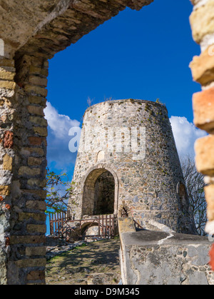 Fabbrica di zucchero rovine sull'isola caraibica di San Giovanni nelle Isole Vergini Americane Foto Stock