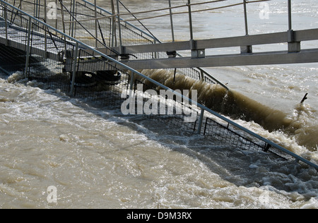 Flood sul Danubio, giugno 2013 Foto Stock