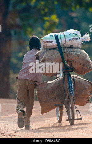 Ragazzo indiano di spingere un carico pesante sulla bicicletta nel nord-India centrale Foto Stock
