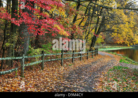 Un percorso a piedi e una recinzione lungo un lago in un giorno di pioggia in mezzo i brillanti colori dell'autunno, Sharon boschi, Southwestern Ohio, Stati Uniti d'America Foto Stock