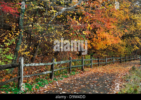 Un percorso a piedi e una recinzione in un giorno di pioggia in mezzo i brillanti colori dell'autunno, Sharon boschi, Southwestern Ohio, Stati Uniti d'America Foto Stock